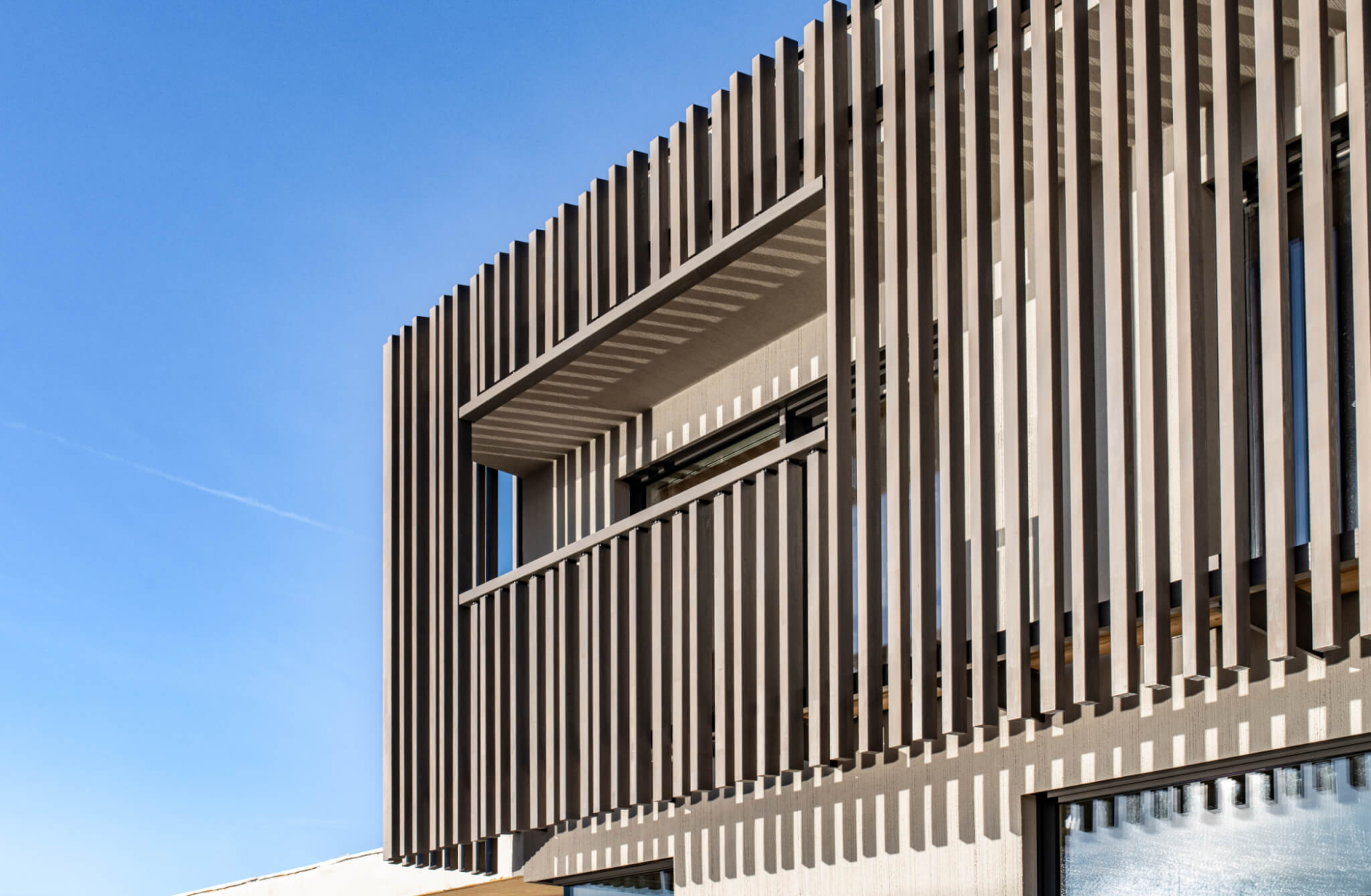 TIMBER FINS